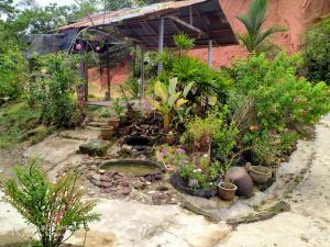 - un jardin avec un bouquet de plantes et de fleurs dans l'établissement Ketupat Palas Homestay, à Kulim
