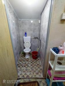 a bathroom with a toilet and a shower at Ketupat Palas Homestay in Kulim