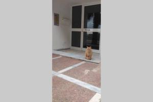 Fotografie z fotogalerie ubytování Captain's home loutraki v destinaci Loutraki