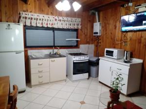 a kitchen with white appliances and wooden walls at CABAÑA INTERIOR VILLARRICA in Villarrica