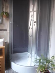 a shower with a glass door in a bathroom at appartement "les goumis" in Baccarat