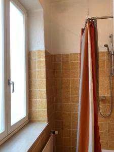 a bathroom with a shower and a shower curtain at Hotel Pension Schmellergarten in Munich