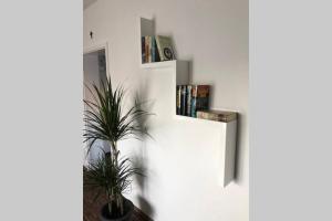 uma estante de livros com livros sobre ele ao lado de duas plantas em Ferienwohnung Hildegard em Grefrath