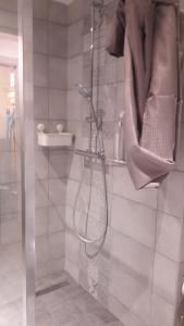 eine Dusche mit Glastür im Bad in der Unterkunft au bord du lac in Gérardmer