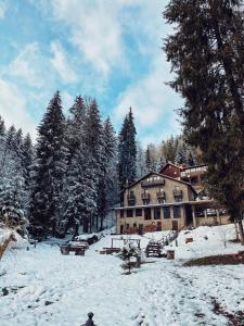 ein großes Gebäude im Schnee mit Bäumen in der Unterkunft Cabana Zimbru Transfagarasan in Arefu