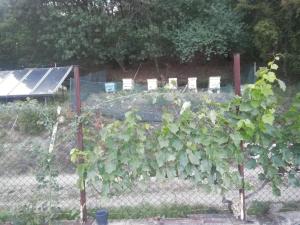 Une clôture avec une bande de plantes dans un jardin dans l'établissement Villa Nasco, aux Sables d'or