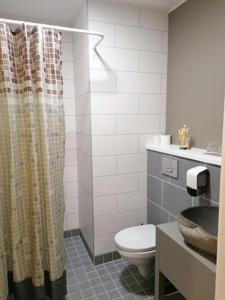 a bathroom with a toilet and a shower curtain at Guesthouse Carl Schmidt in Põltsamaa