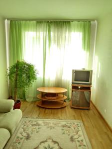 a living room with a couch and a tv at Квартира возле парка Б. Хмельницкого (центр) из первых рук in Chernihiv