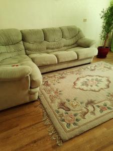 a living room with a couch and a rug at Квартира возле парка Б. Хмельницкого (центр) из первых рук in Chernihiv