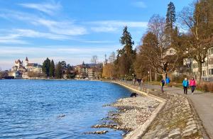 Galeriebild der Unterkunft Lovely studio in a villa from 18th century in Thun