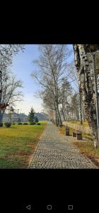 a cobblestone path in a park with two benches at Jednosoban stan centar in Pirot +20 photos