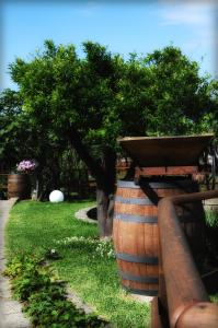 Zahrada ubytování B&B Casa di Donna