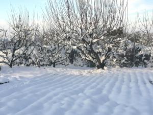 Felix House during the winter