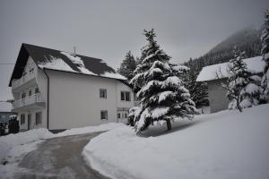 a snow covered tree in front of a building at Apartmani Vila in Kupres