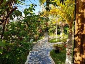 テヒーナにあるApartmento Tabaresの木々や植物が植えられた庭園の石道