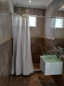 y baño con cortina de ducha y lavamanos. en Rincon de la Sierra en Tandil
