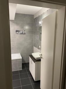 łazienka z umywalką i toaletą w obiekcie MONCLER RESIDENCE w Braszowie