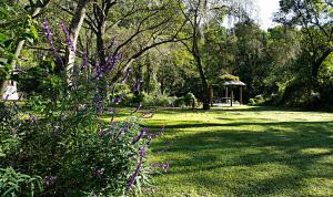 O grădină în afara Hotel Selva Montana