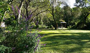 un jardín con cenador y flores púrpuras en Hotel Selva Montana en San Lorenzo