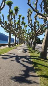 a street lined with trees on the side of a beach at studio meublé au RDC , proche lac in Aix-les-Bains