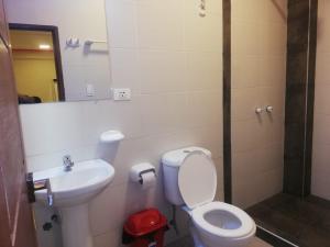 Hotel Los Andes del Sur tesisinde bir banyo