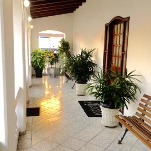 a hallway with potted plants in a building at Pousada Alvorada Brotas - e agendamento das atividades turísticas in Brotas