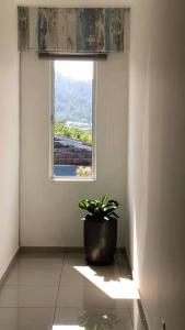 DreamCatchers Home في كُوانتان: يوجد خزاف نباتي يجلس في غرفة مع نافذة