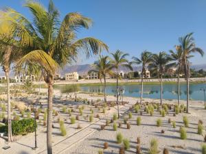 uma praia com palmeiras e um corpo de água em NEW Exclusive Family Suite With Breathtaking View em Salalah