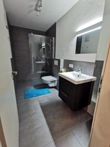 een badkamer met een wastafel en een toilet bij Tiroler Bergnestl in Imst