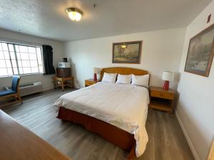 Postel nebo postele na pokoji v ubytování Traveler's Inn Carlin NV near Elko