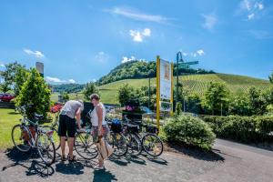 Jízda na kole v ubytování Gästehaus und Weingut Bernd Frieden nebo okolí