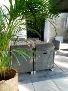 eine Terrasse mit zwei Korbstühlen und einer Pflanze in der Unterkunft Appartement classé 3 étoiles - Canohès in Canohès