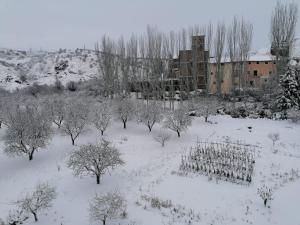 un jardín cubierto de nieve con árboles y un edificio en Apartamentos Rurales Camino del Cid en Castejón de las Armas