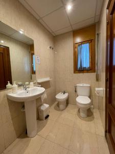 a bathroom with a sink and a toilet and a mirror at Hostal del Carmen in Terrassa