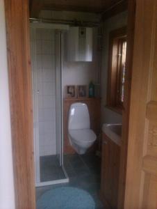 a small bathroom with a toilet and a sink at Stensholms Trädgård in Nässjö +30 photos