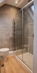 a bathroom with a toilet and a glass shower at Bright and Luxurious Flat in the Heart of Reading in Reading