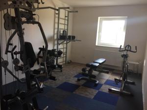 Palestra o centro fitness di Hotel Dvůr