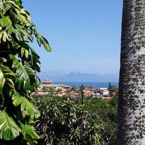 uitzicht op de oceaan vanuit een palmboom bij Pousada Afrika in Búzios