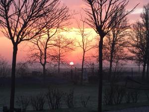 ein Sonnenuntergang auf einem Feld mit Bäumen im Vordergrund in der Unterkunft Bed & Breakfast Zeeland in Renesse