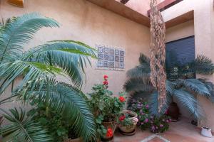 a courtyard with plants and flowers in a building at Margo Zimmer in Midreshet Ben Gurion +9 photos