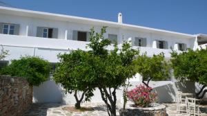 a white building with trees in front of it at Hotel Anezina in Drios