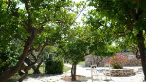 a garden with tables and chairs under trees at Hotel Anezina in Drios