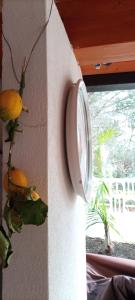 Fotografie z fotogalerie ubytování VulKanoHome(EolieIslands) v destinaci Vulcano