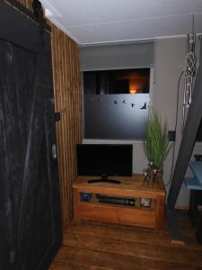 WadLeuk! في دن هيلدر: غرفة معيشة مع تلفزيون على طاولة خشبية