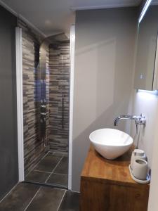 een badkamer met een wastafel en een douche bij WadLeuk! in Den Helder