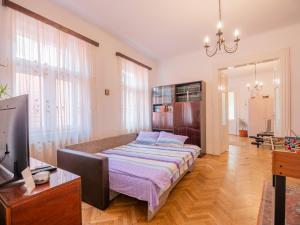 a bedroom with a large bed and a tv at Fresh Air Apartment in Braşov