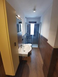 a bathroom with a sink and a shower at La Stua Livigno in Livigno