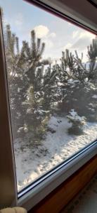 uma janela com vista para uma floresta coberta de neve em Domki Zacisze em Solina