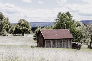 an old barn in a field of tall grass at 4-Zimmer-Ferienwohnung Waldblümle in Dobel