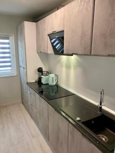 uma cozinha com um lavatório e uma bancada em Apartament Catalin 1 em Arad